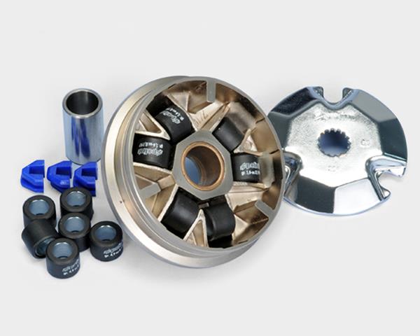Polini Variator Fantic Big-Wheel, MBK Activ passend für Fantic und MBK