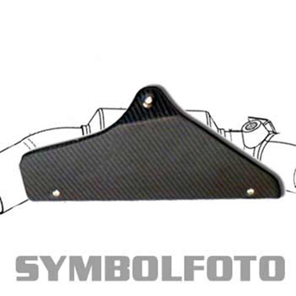LeoVince Carbon Hitzeschild CB1000R`08- passend für Honda
