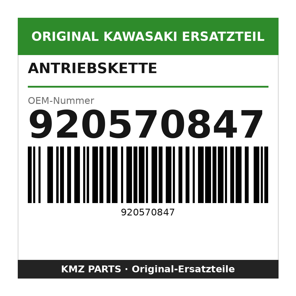 Kawasaki Antriebskette DID420DS3 124 Glieder 920570847