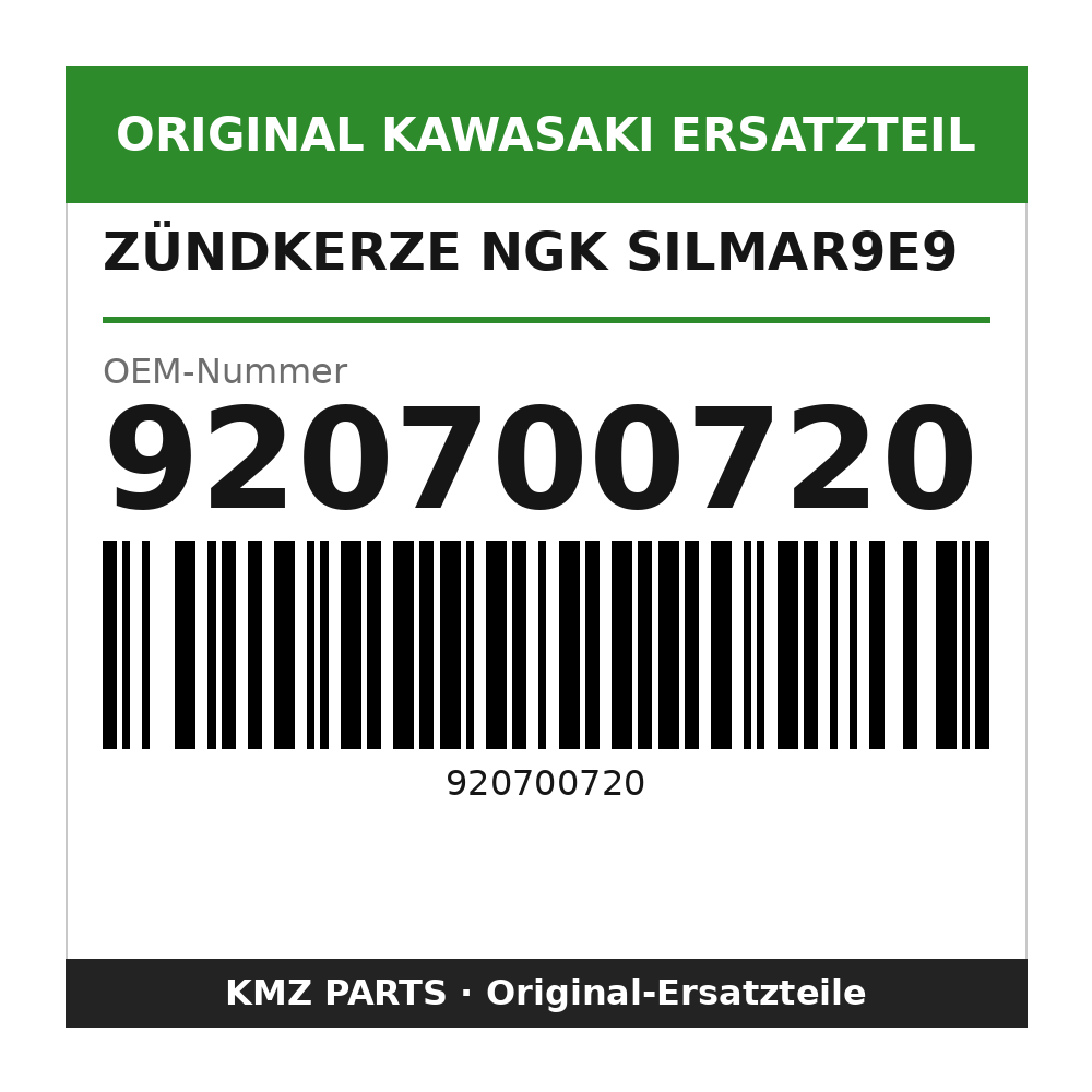 Kawasaki Zündkerze NGK SILMAR9E9 920700720