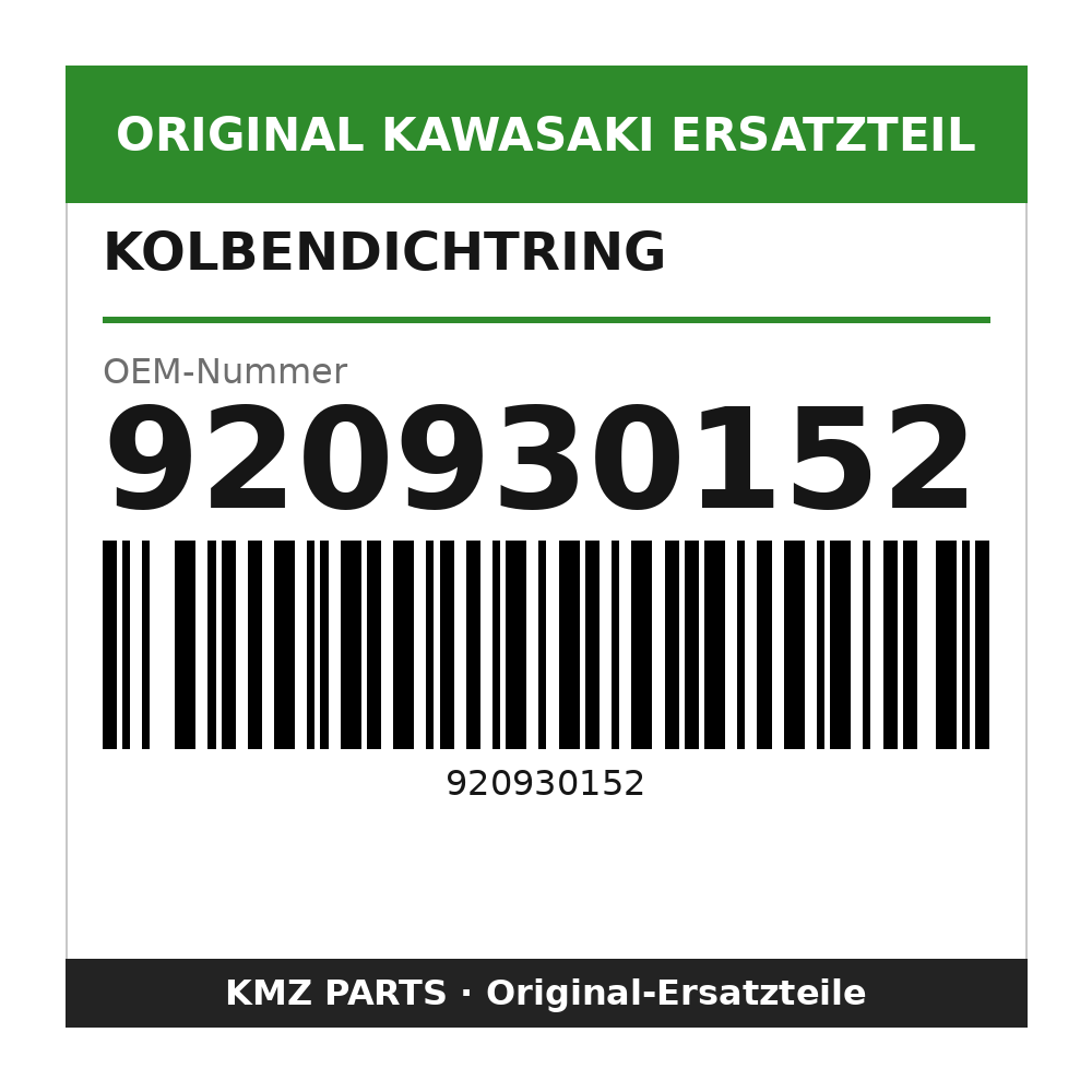 Kawasaki Kolbendichtring 920930152
