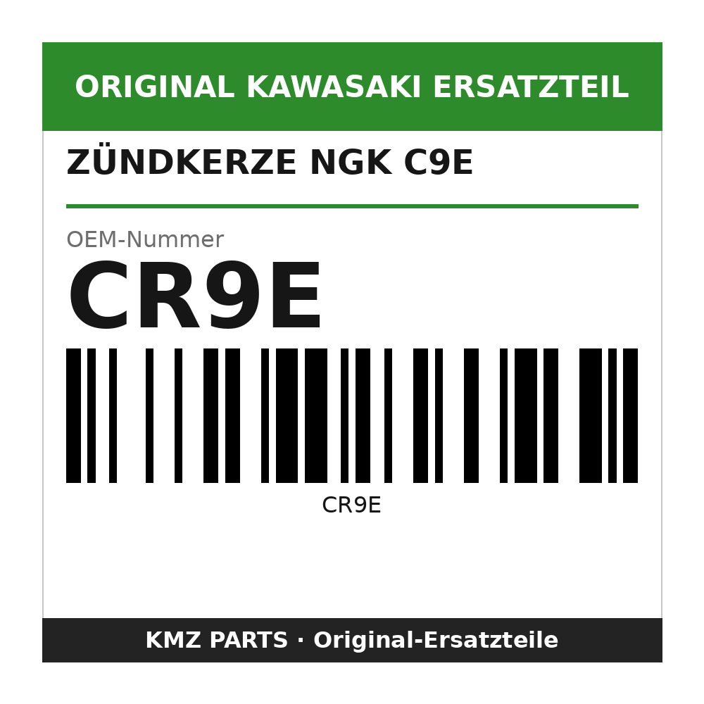 Kawasaki Zündkerze NGK C9E CR9E