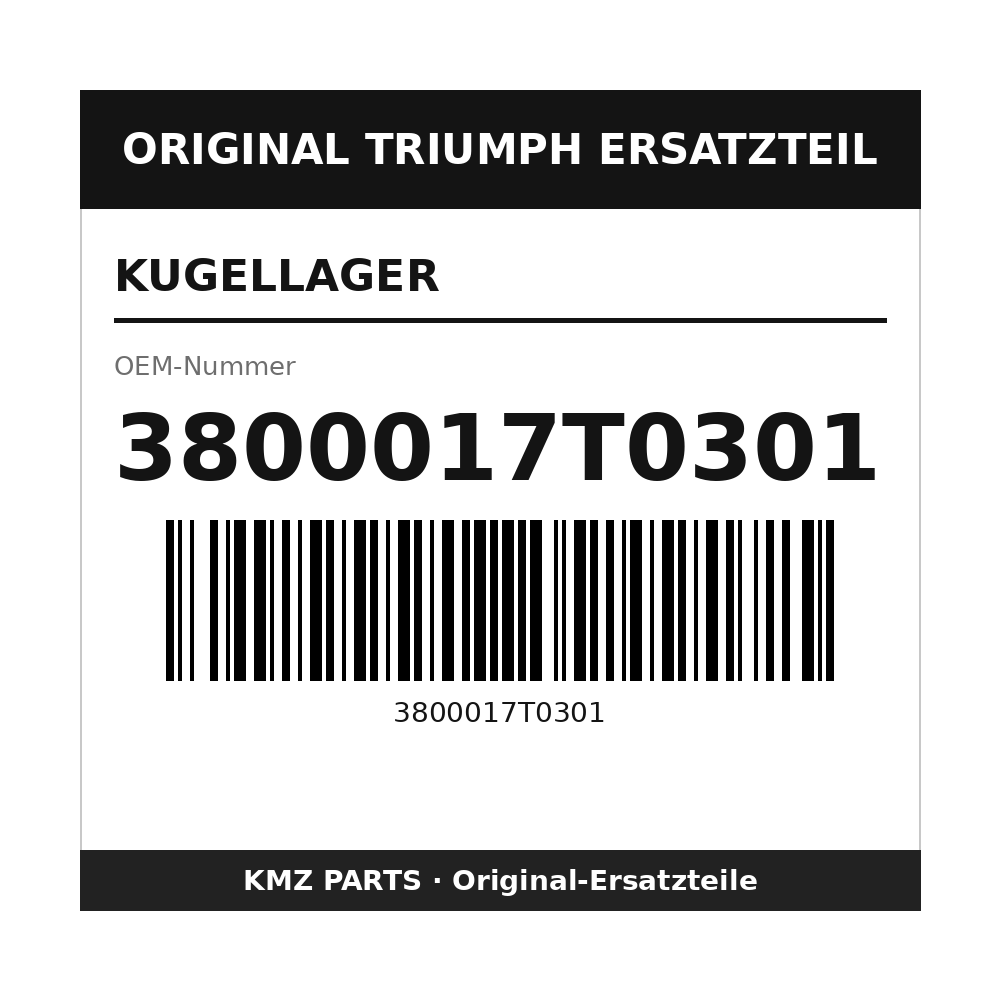 Triumph Kugellager 3800017T0301