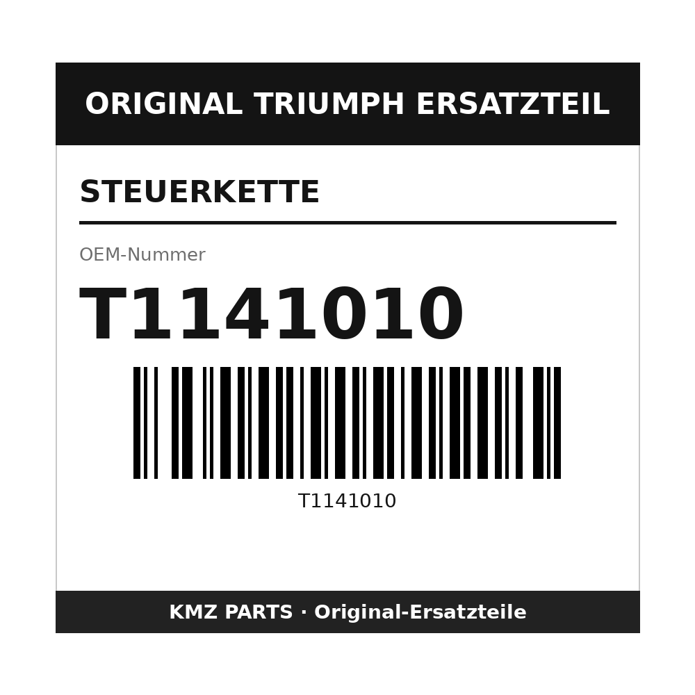 Triumph Steuerkette T1141010