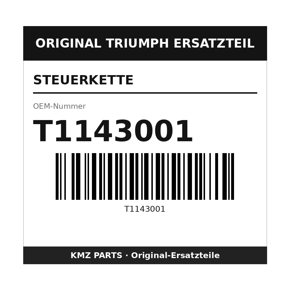 Triumph Steuerkette T1143001