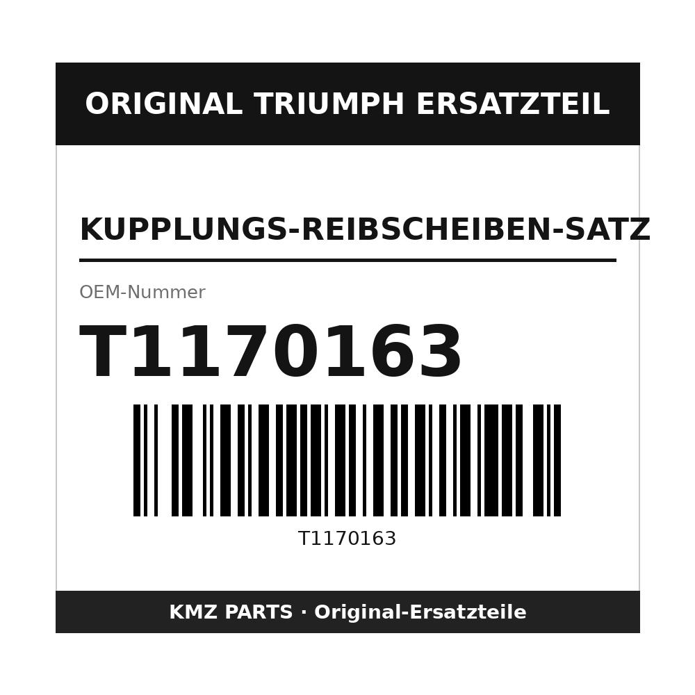 Triumph Kupplungs-Reibscheiben-Satz T1170163