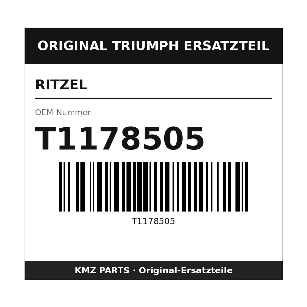 Triumph Ritzel T1178505