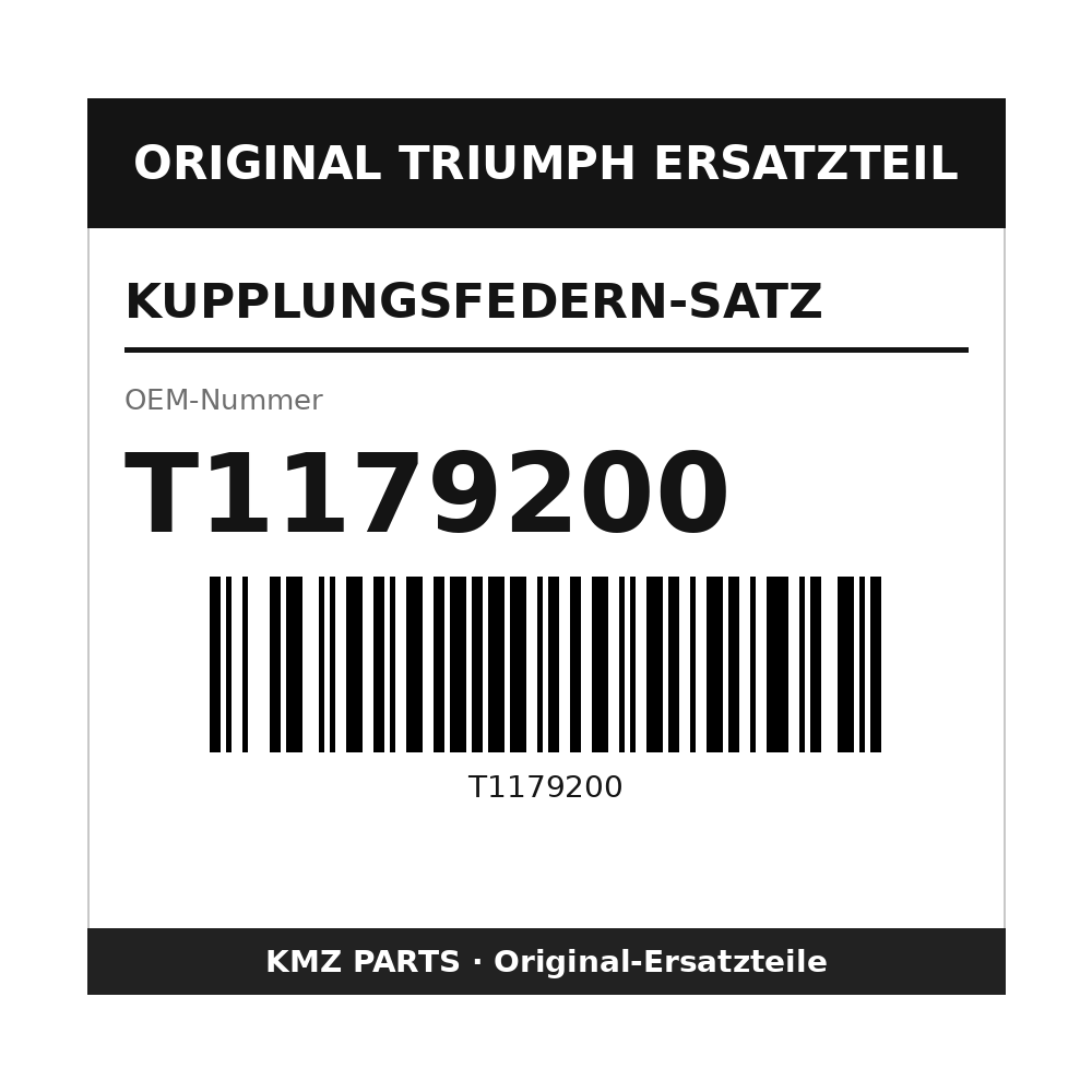 Triumph Kupplungsfedern-Satz T1179200