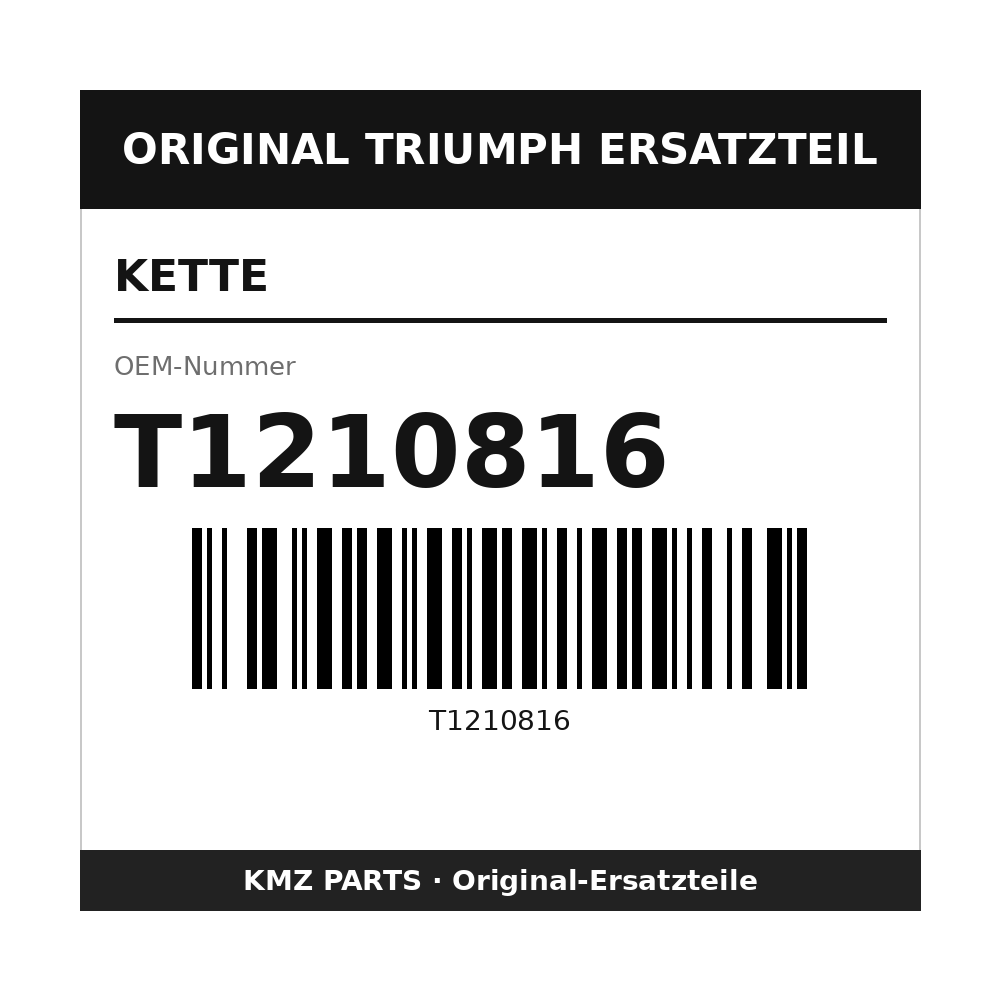Triumph Kette T1210816