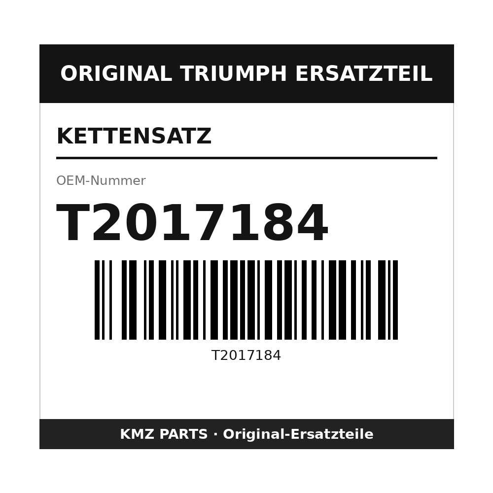 Triumph Kettensatz T2017184