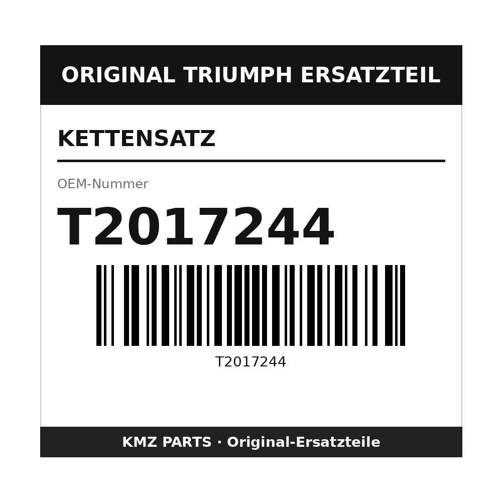 Triumph Kettensatz T2017244