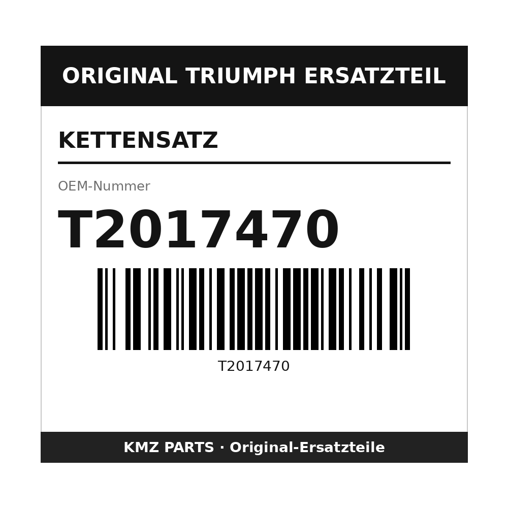 Triumph Kettensatz T2017470