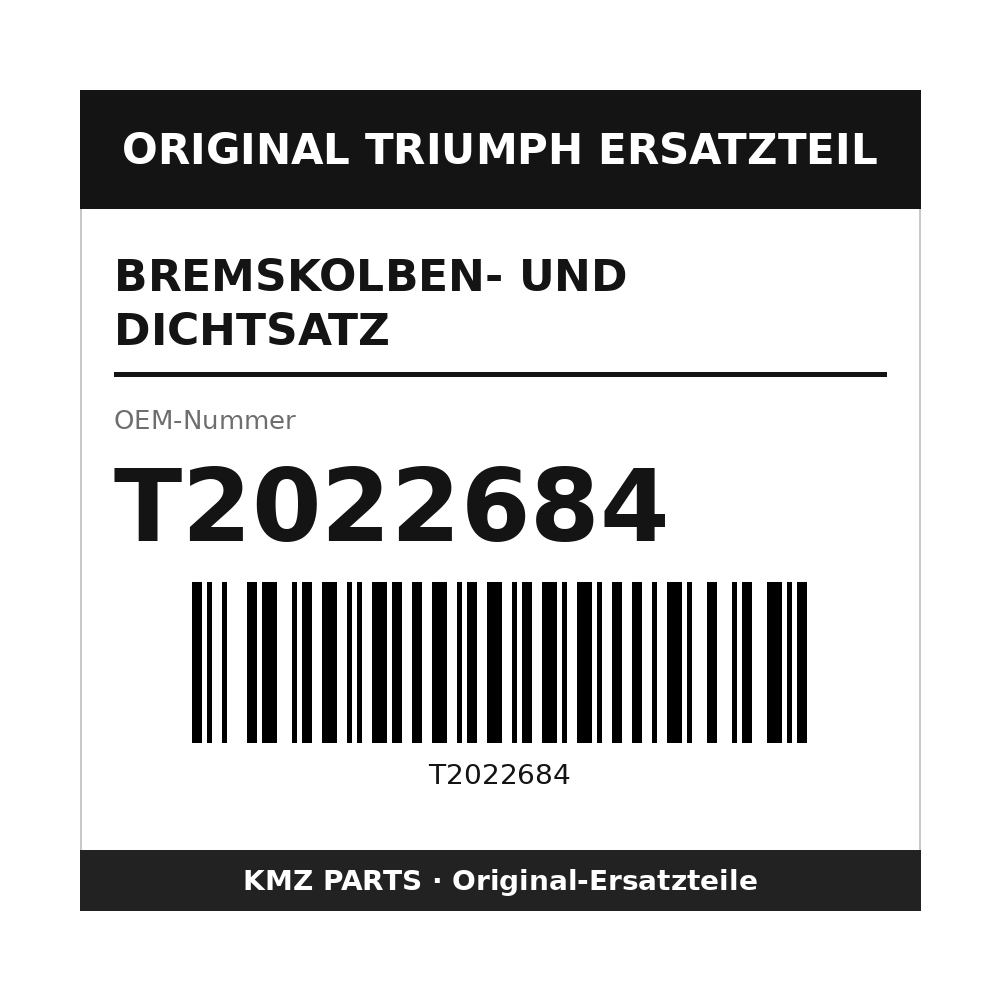 Triumph Bremskolben- und Dichtsatz T2022684