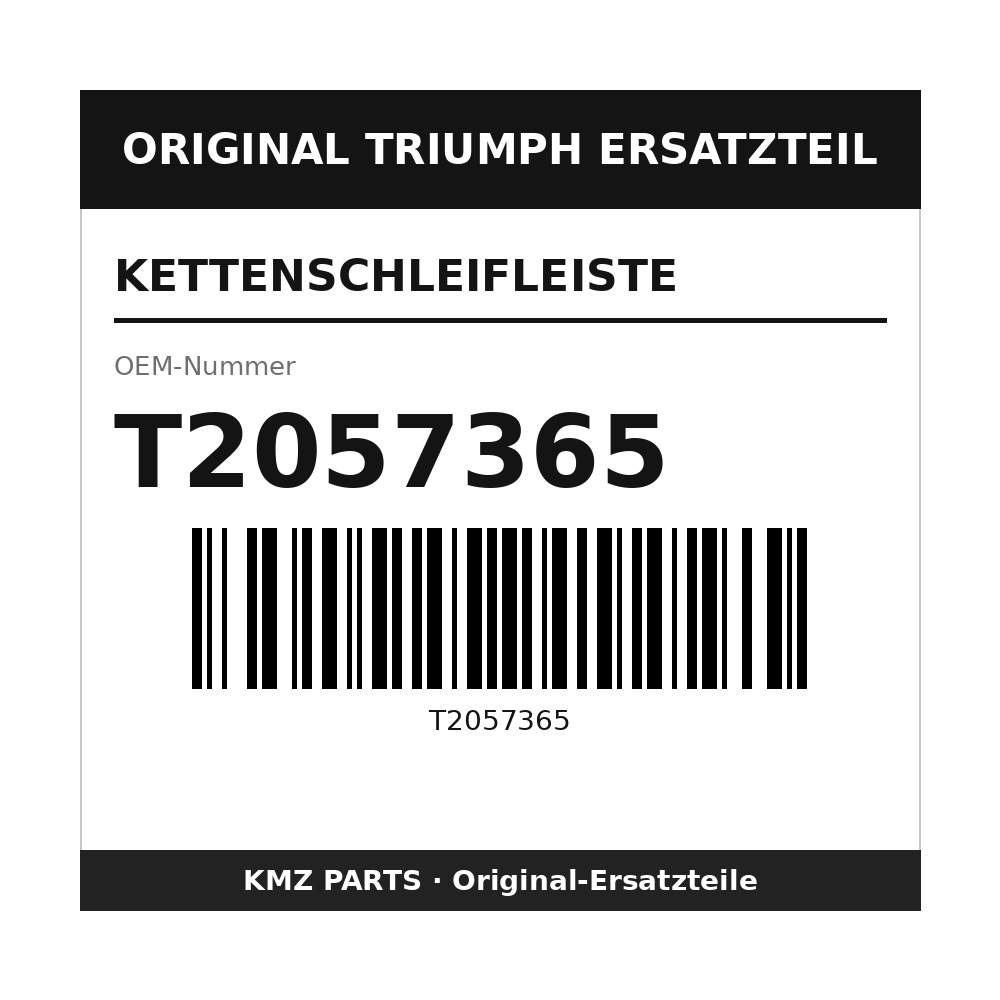 Triumph Kettenschleifleiste T2057365