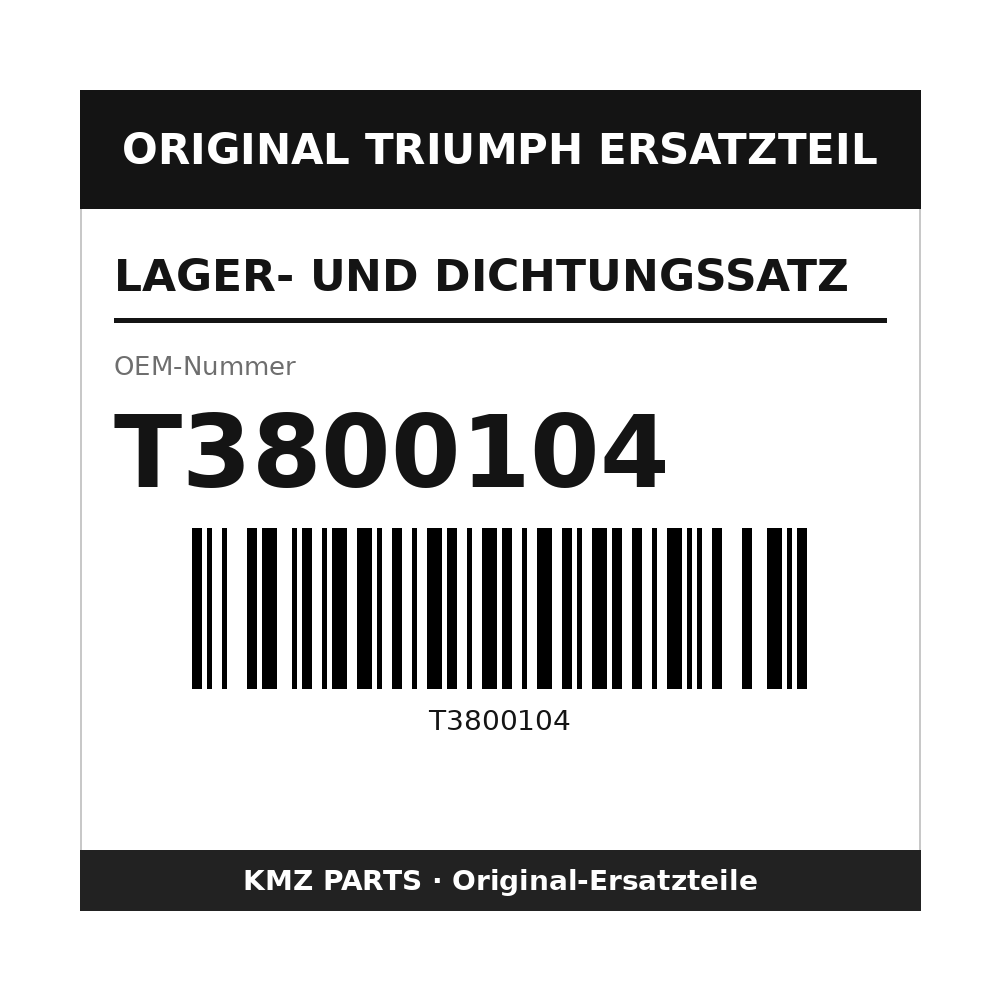 Triumph Lager- und Dichtungssatz T3800104