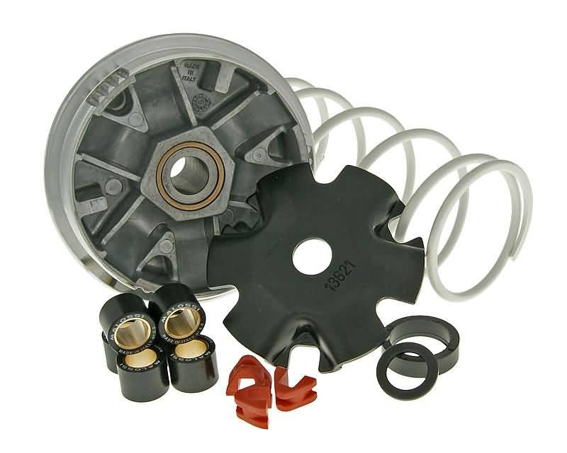 Variomatik tuning Malossi