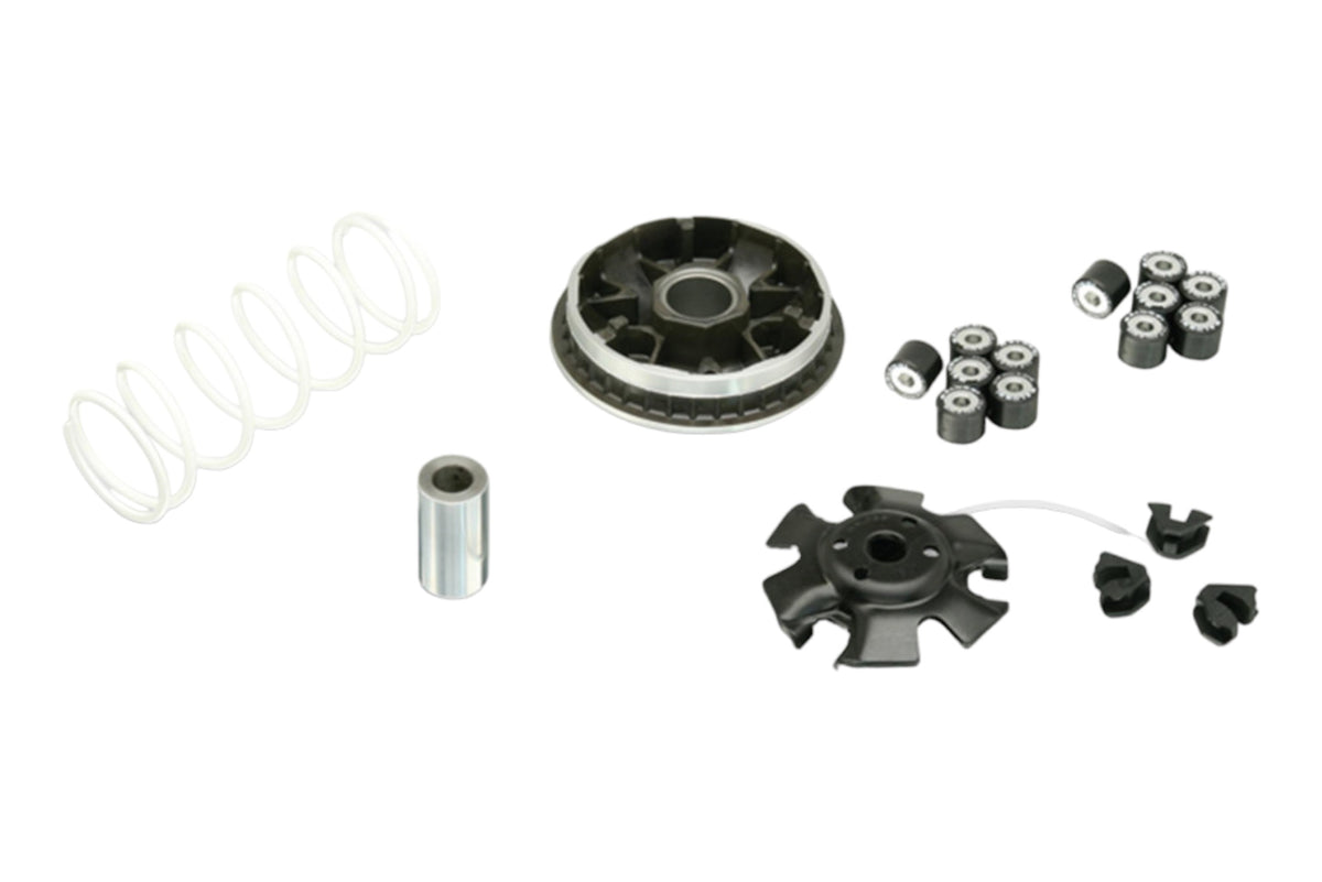 Variomatik tuning Malossi