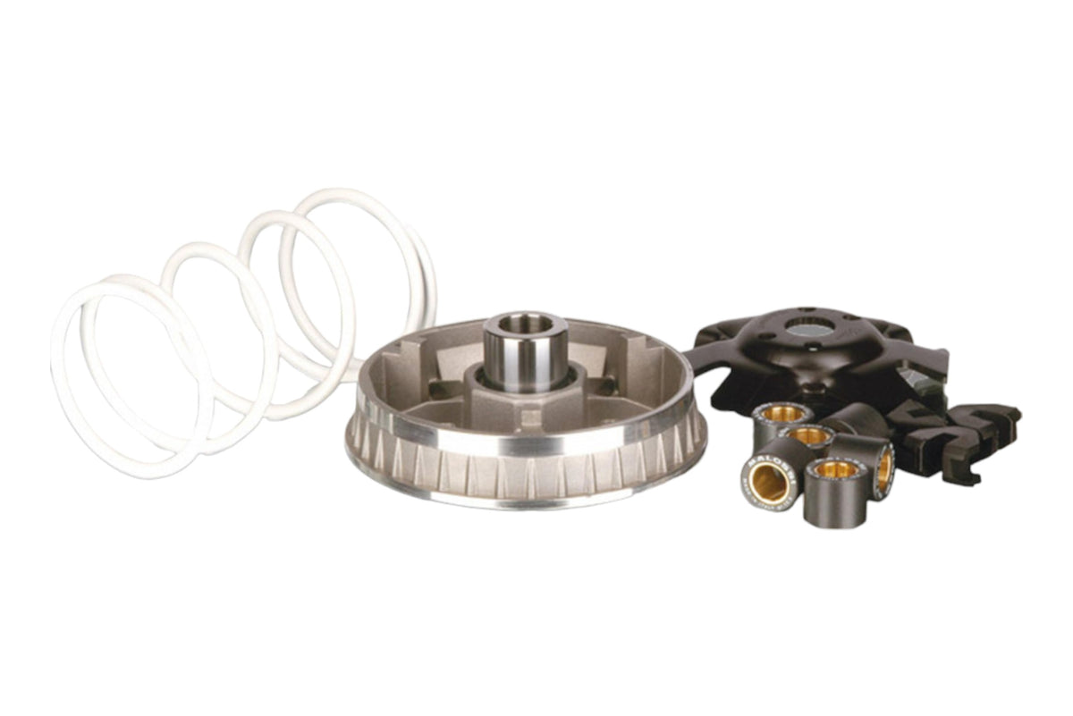 Variomatik tuning Malossi