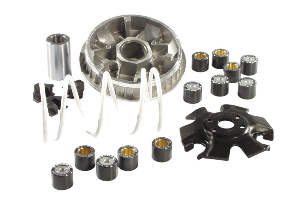 Variomatik tuning Malossi