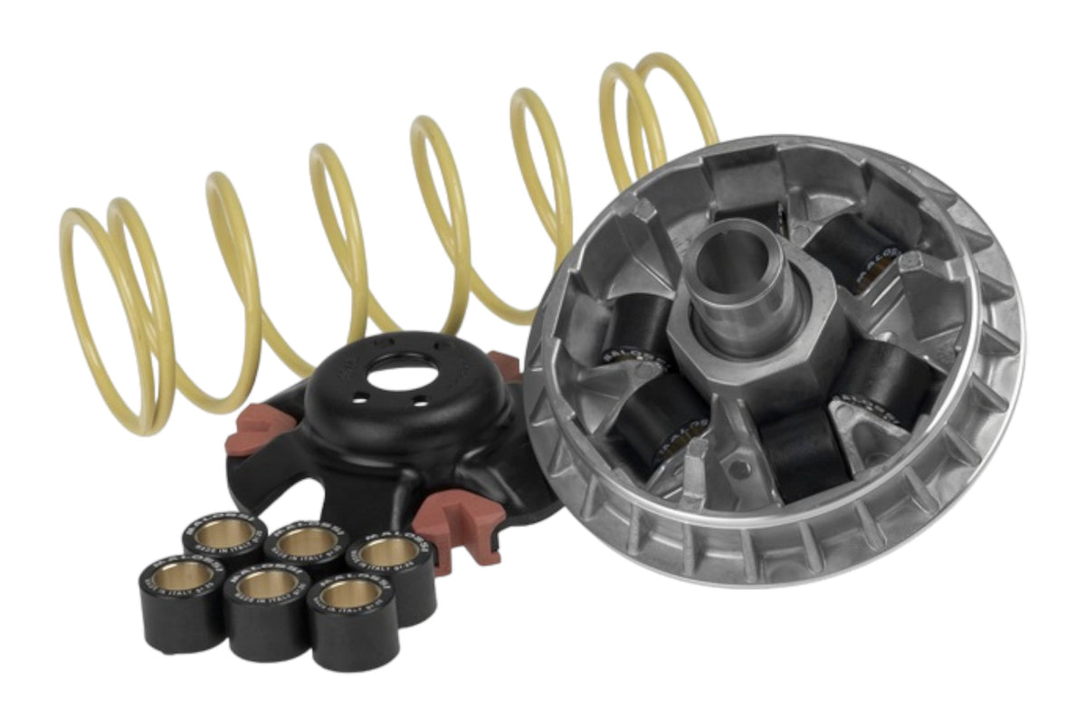 Variomatik tuning Malossi