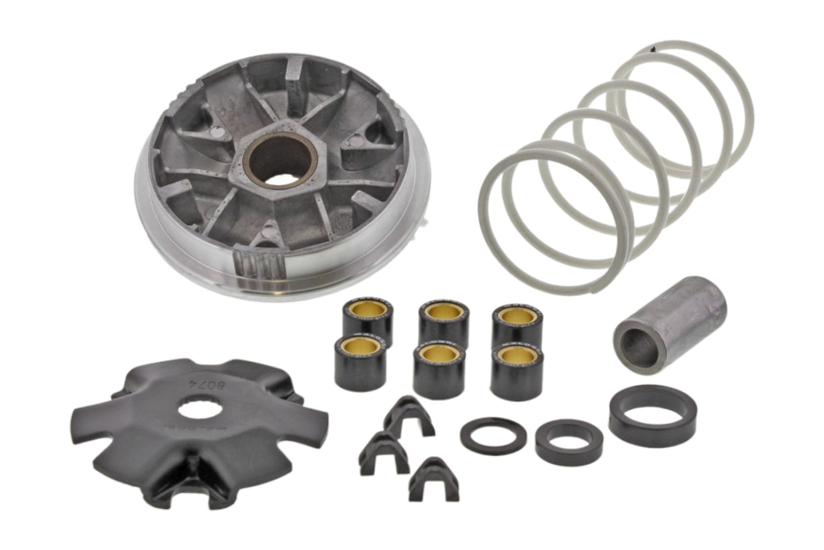 Variomatik tuning Malossi