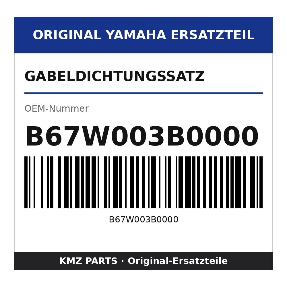 Yamaha Gabeldichtungssatz B67W003B0000