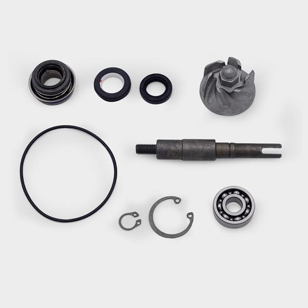 Wasserpumpe Repsatz SH125 `01-08 passend für Honda