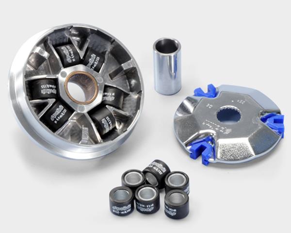Polini Variatorset Katana 50 passend für Aprilia und Suzuki