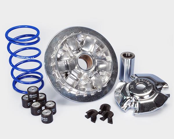 Polini Variatorset Yamaha N-Max 125/155 passend für Yamaha