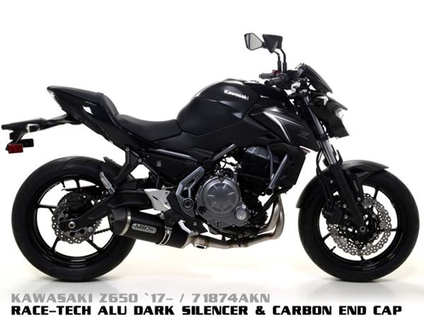 Arrow Race-Tech Aluminium Dark 71854AKN passend für Kawasaki