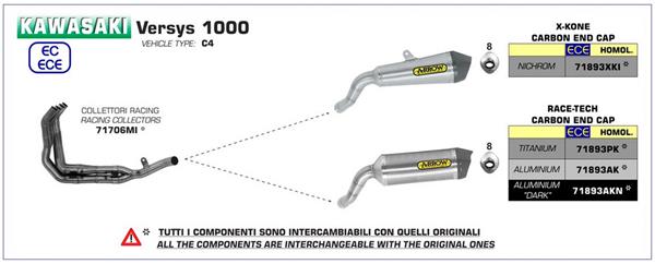 Arrow Race-Tech Titanium 71893PK passend für Kawasaki