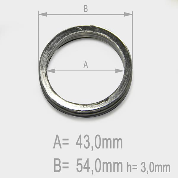Auspuffdichtung Beta RR 350 passend für Beta
