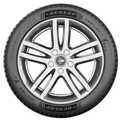 Dunlop Winter
