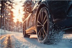 Dunlop Winter