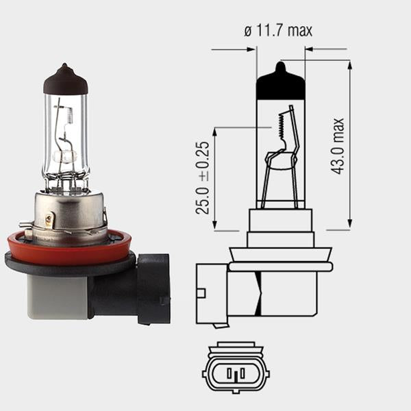 Halogenlampe 12V 55W H11 PG3