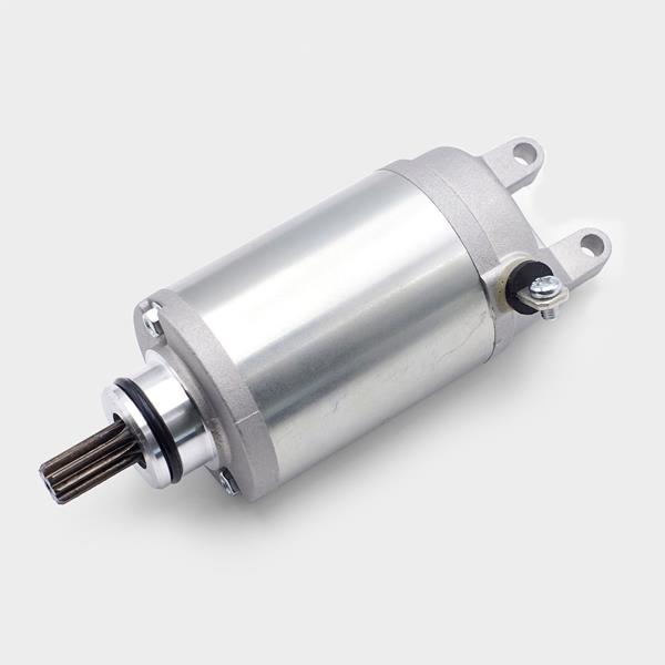 E-Starter Suzuki GSF650 `07-08 passend für Suzuki