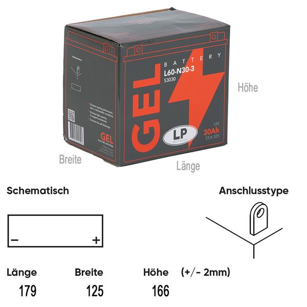 Landport Motorradbatterie L60-N30-3 12V 30Ah passend für BMW, Harley-Davidson und Moto Guzzi