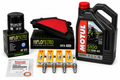 Kawasaki Service Kit Groß Z900 Nachbau