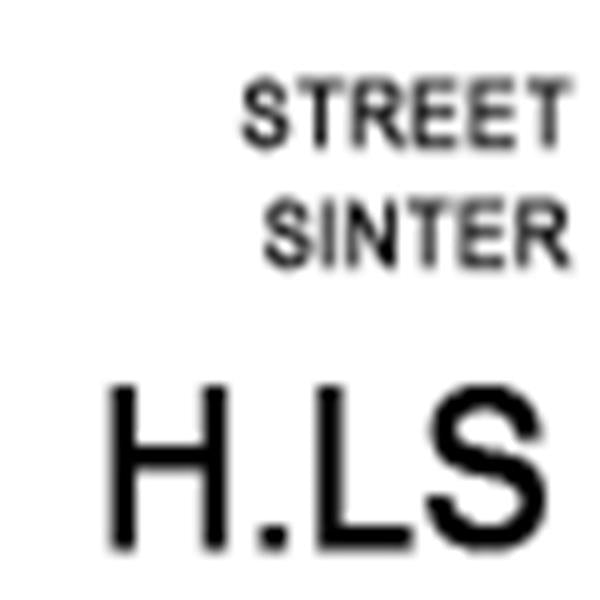 SBS Bremsbeläge 669H.LS Street passend für Harley-Davidson