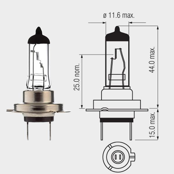 Halogenlampe 12V 55W H7 PX26D