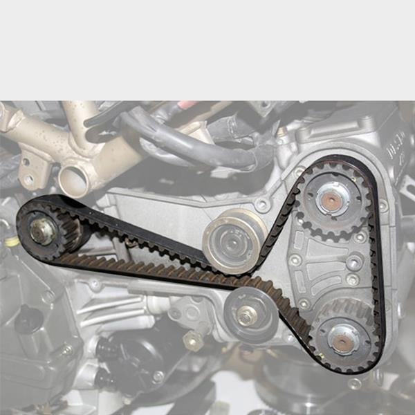 Dayco Zahnriemen 93 x 17,0 passend für Ducati