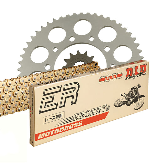 DID Kettensatz für KTM EXC 300 TPI Six Days 18-20 520 ERT3 Kettenkit