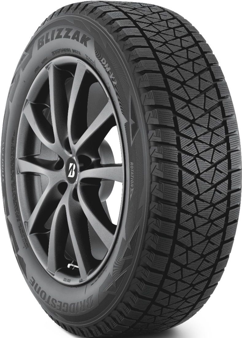 Bridgestone Blizzak DM-V2