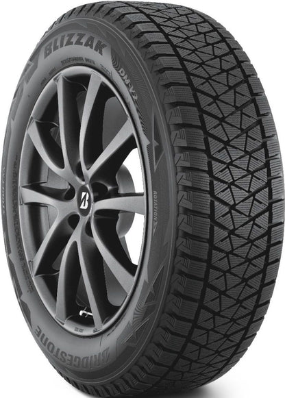 Bridgestone Blizzak DM-V2