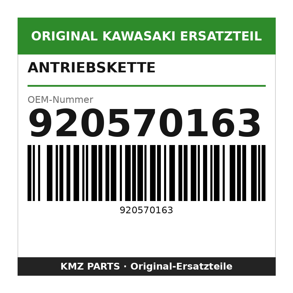 Kawasaki Antriebskette DID520VP2-TX1 920570163