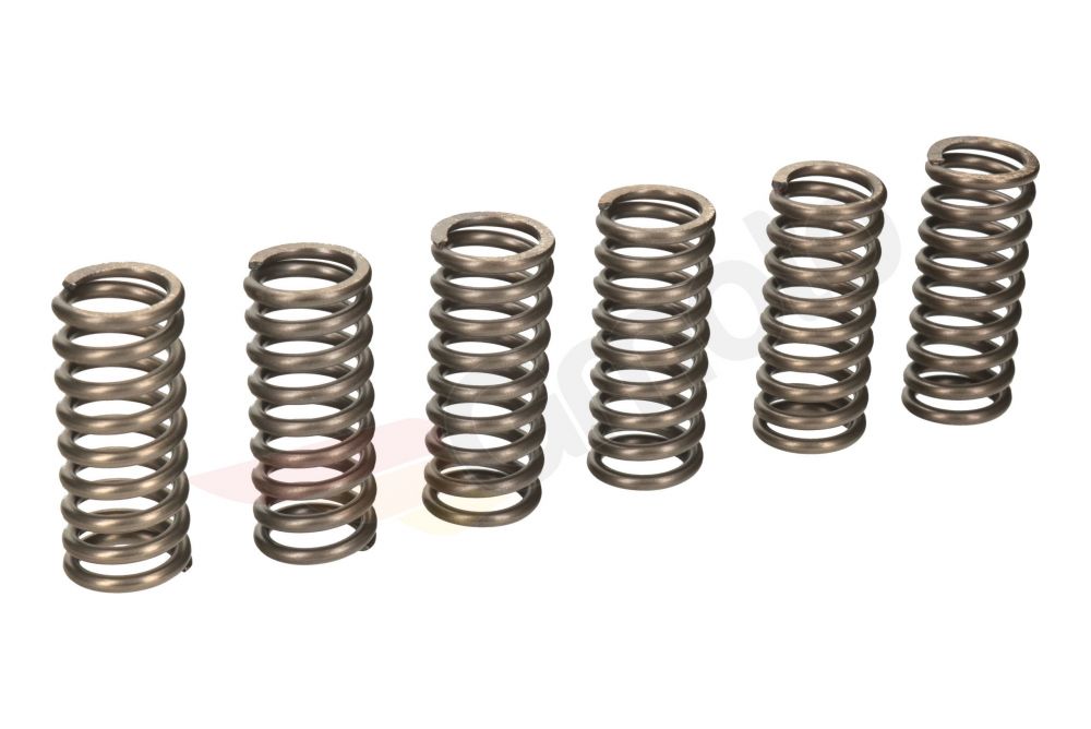Kupplungsfedern EBC CSK 141/6