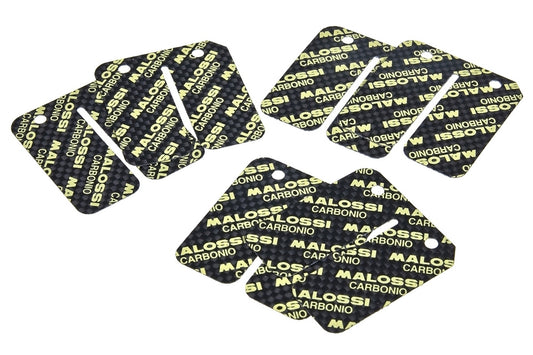 Malossi Carbon-Membran-Ventilteller