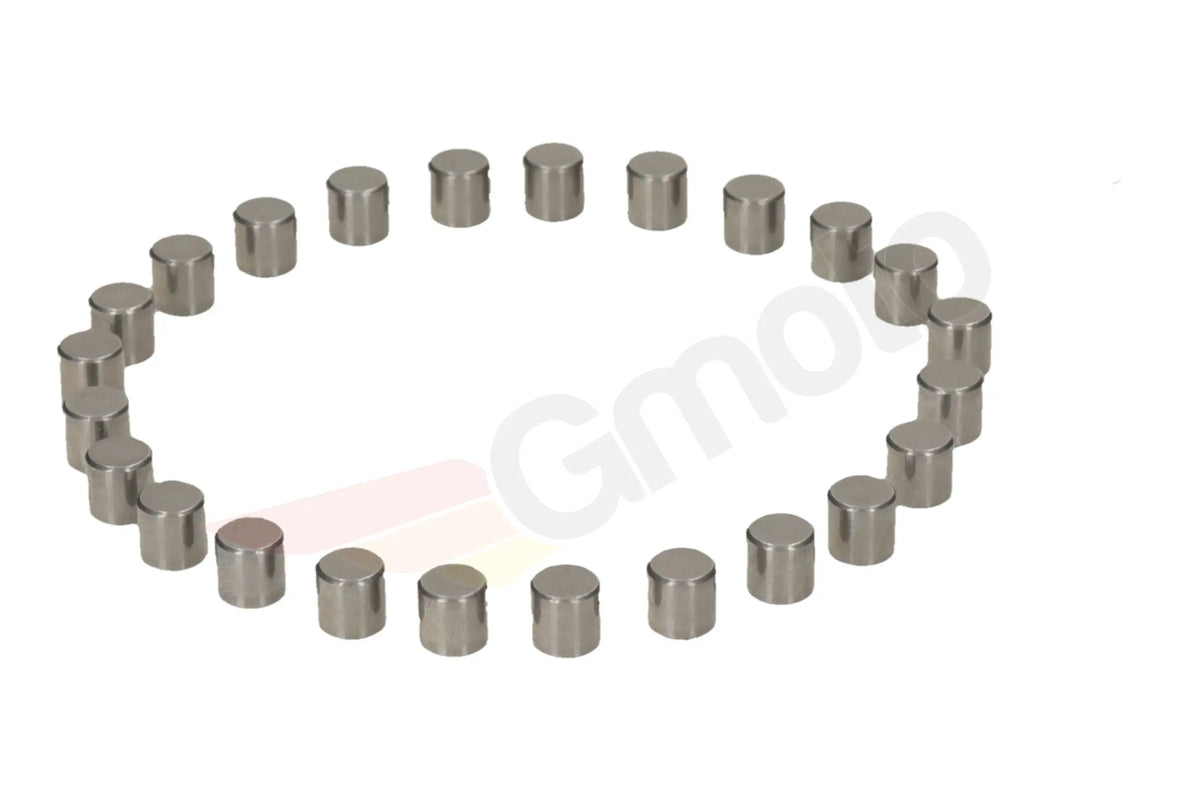 Kupplungsdruckstift Zylinderrolle Satz SKF Junak M07 M10