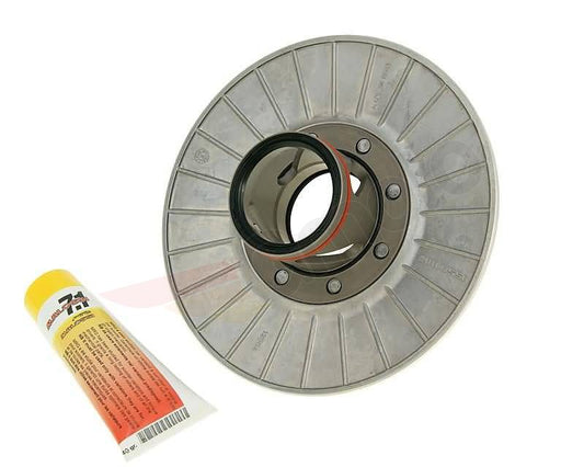 Malossi Piaggio 200-300 4T Drehmomentausgleichsscheibe