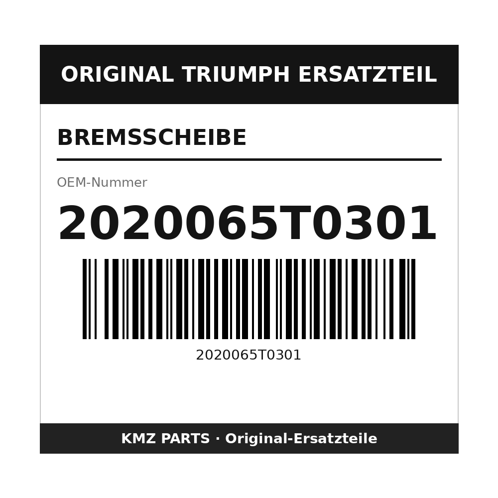 Triumph Bremsscheibe 2020065T0301